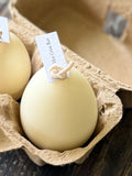 Scented Egg Candles