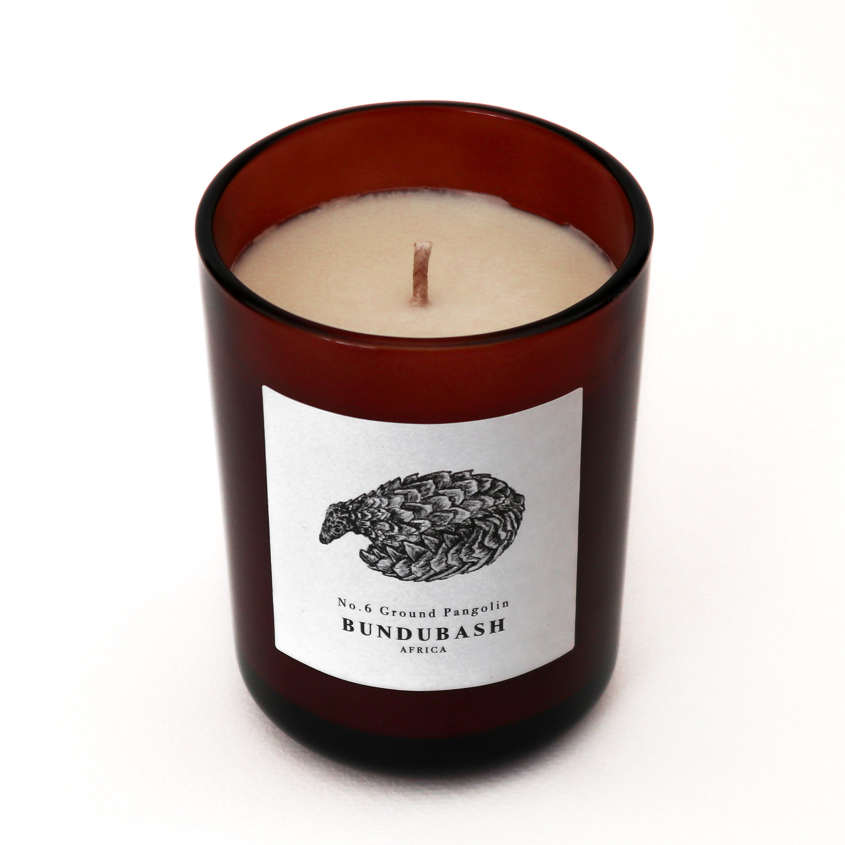 No.6 Ground Pangolin